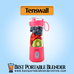 Tenswall Personal Size Smoothie Blender (Pink) stuffed with fruit ingredients