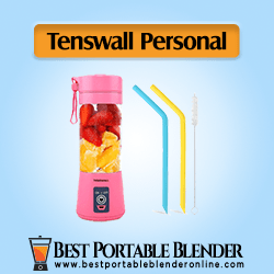 Tenswall Smoothie Blender - Mini USB Rechargeable Juicer Mixer (Pink Color) with two straws and a cleaning brush