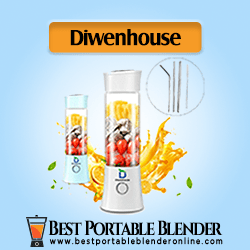 Diwenhouse Portable Blender for Travel with straws and cleaning brush – [Ultimate Juice Extractor]