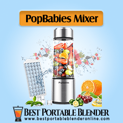 PopBabies Personal USB Rechargeable Blender - [Best for Shakes]